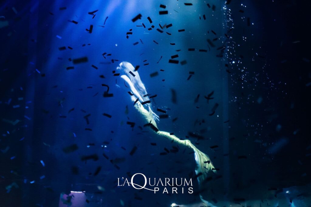 Sirène de L'aquarium le club