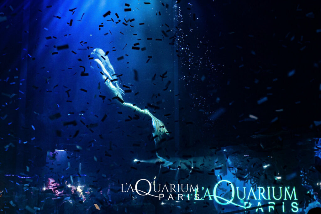 Spectacle de sirène L'aquarium le club