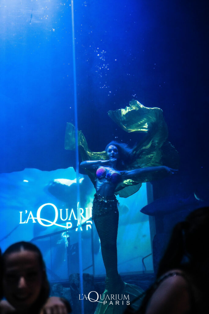 Photo de soirée à L'aquarium le club
